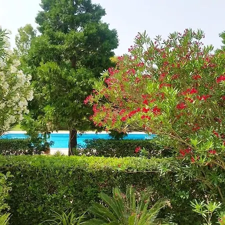 Holiday home Spacious House In With Shared Pool